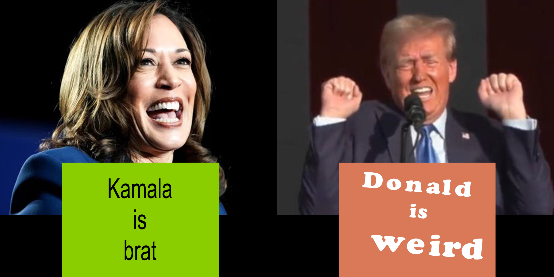 Kamala_is_Brat_Donald_is_weird.png